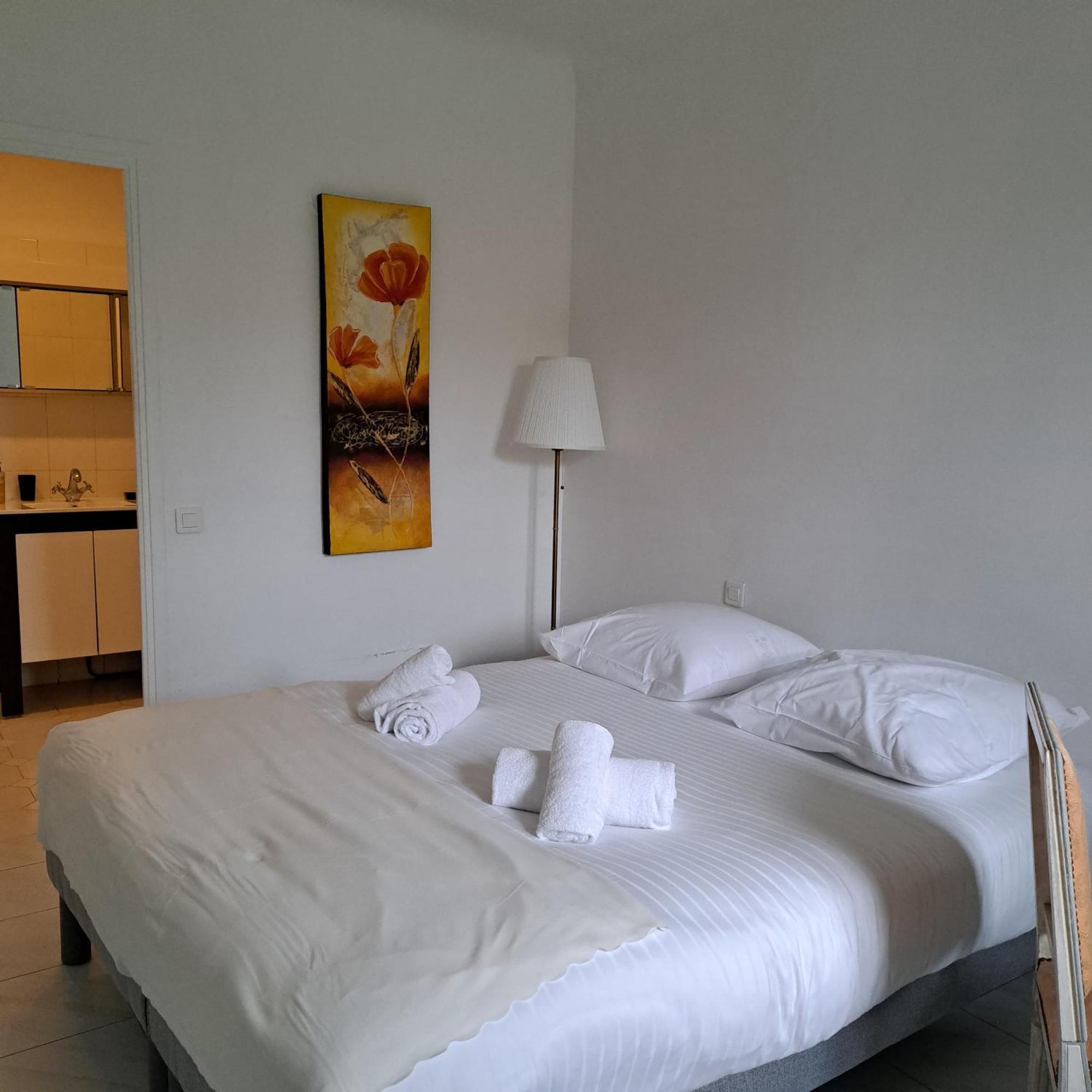 Spacious - High Standing Apartment Cannes